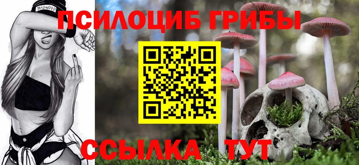Каменка  закладка  Вход с VPN  Псилоцибиновые грибы Psilocybine cubensis 