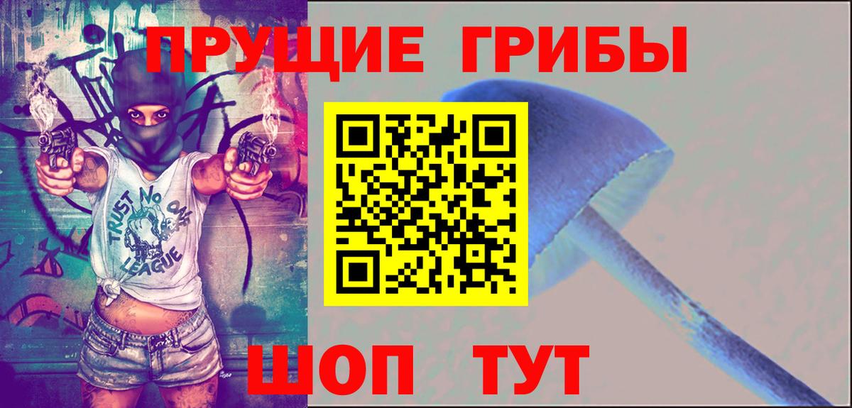 Галлюциногенные грибы GOLDEN TEACHER Каменка